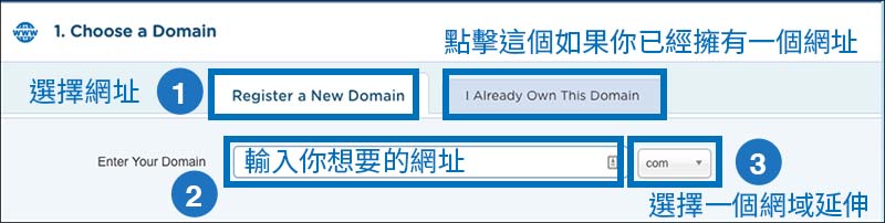choose domain